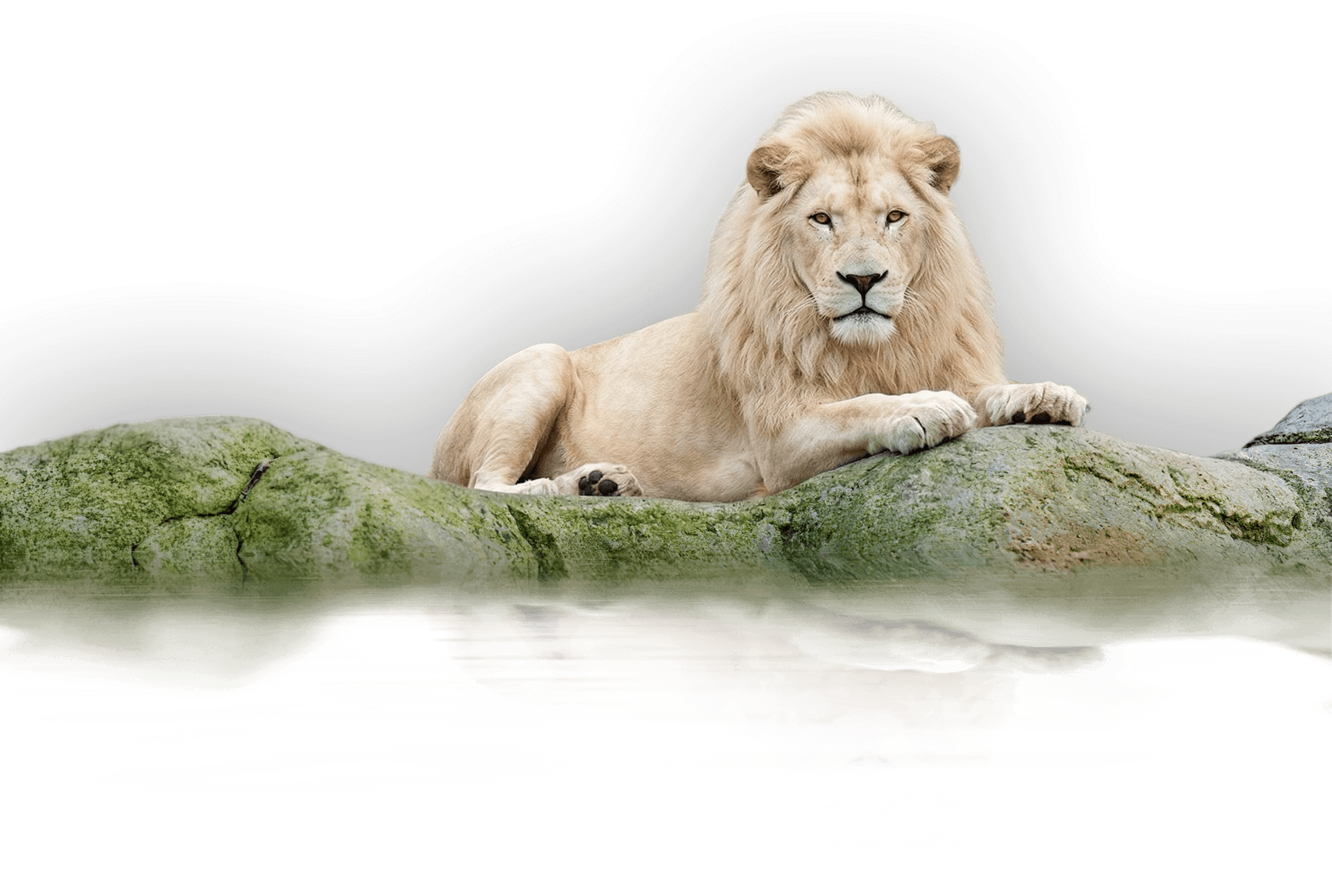ASLAN PARK