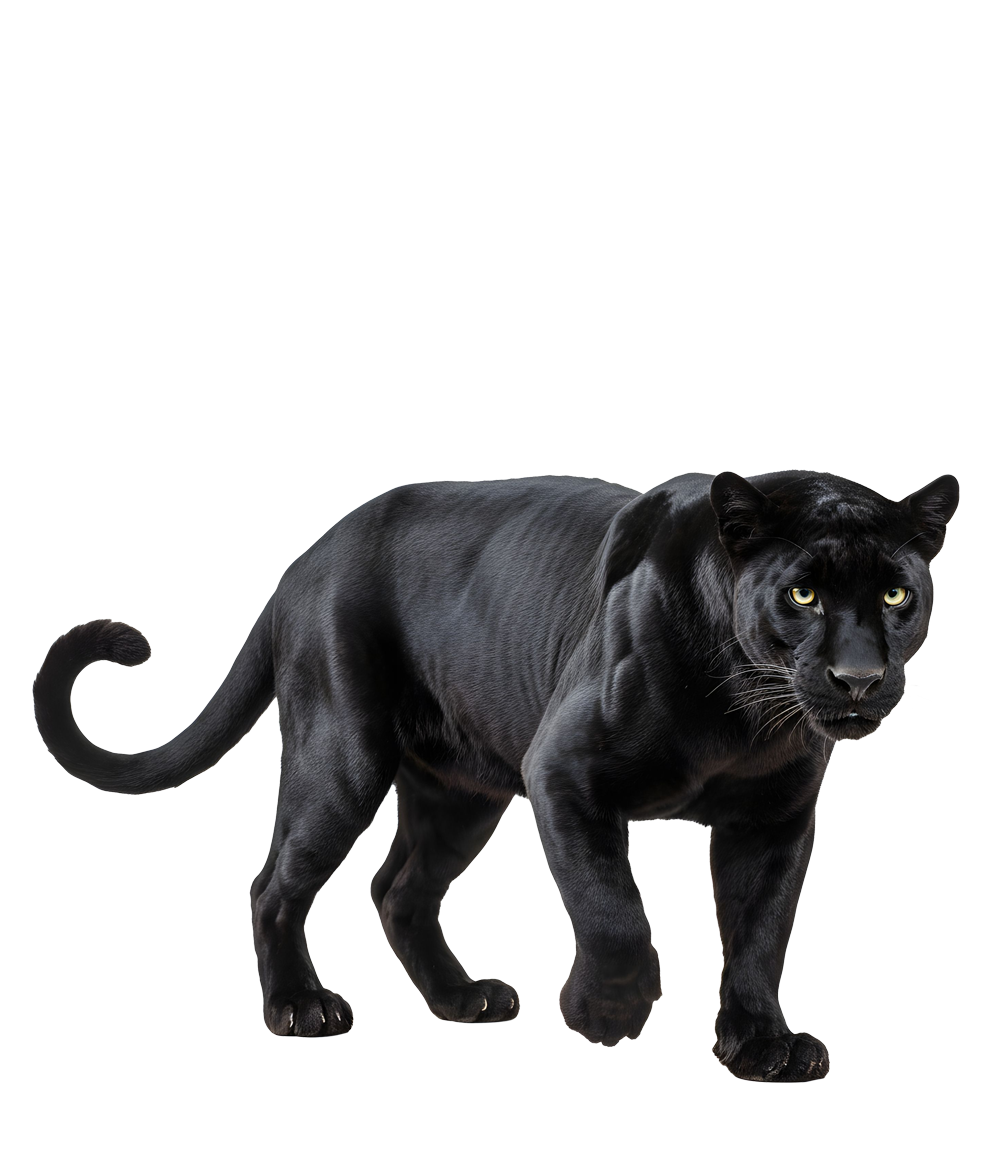 Leopar (Kara Panter)