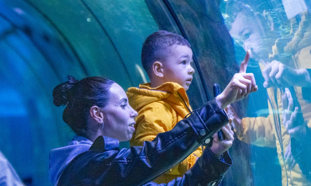 Zoo and Archaeological Site Visits in Child Development
