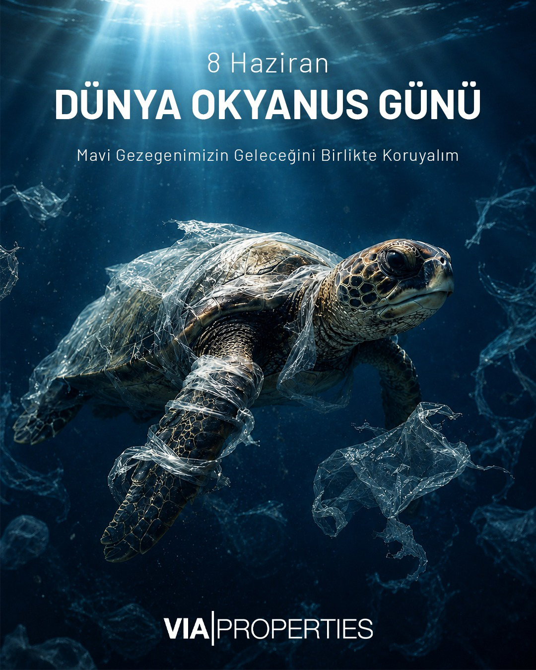 Dünya Okyanus Günü: Mavi Gezegenimizin Geleceğini Birlikte Koruyalım