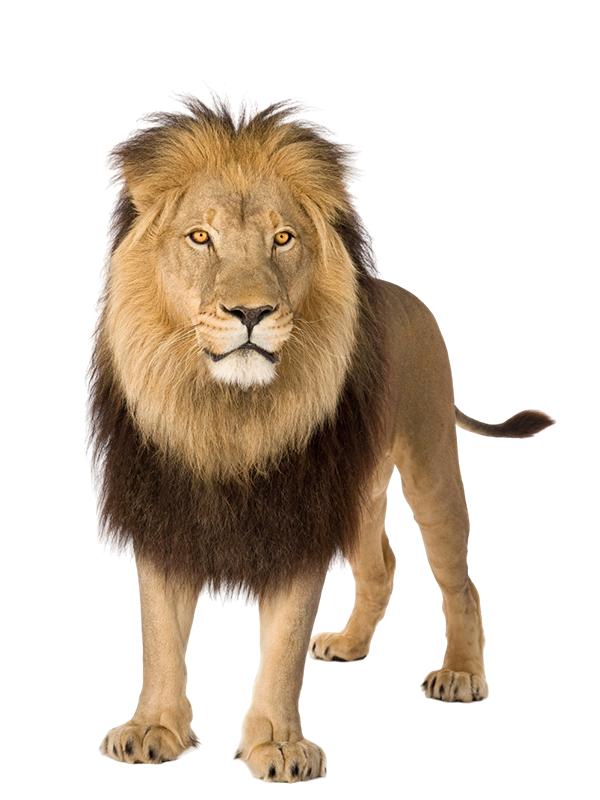 Aslan