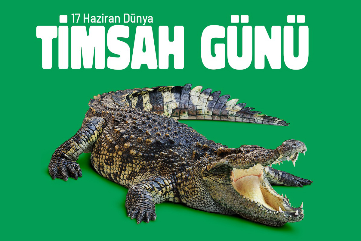 Dünya Timsah Günü: Milyonlarca Yıllık Bir Hayatta Kalma Hikâyesi
