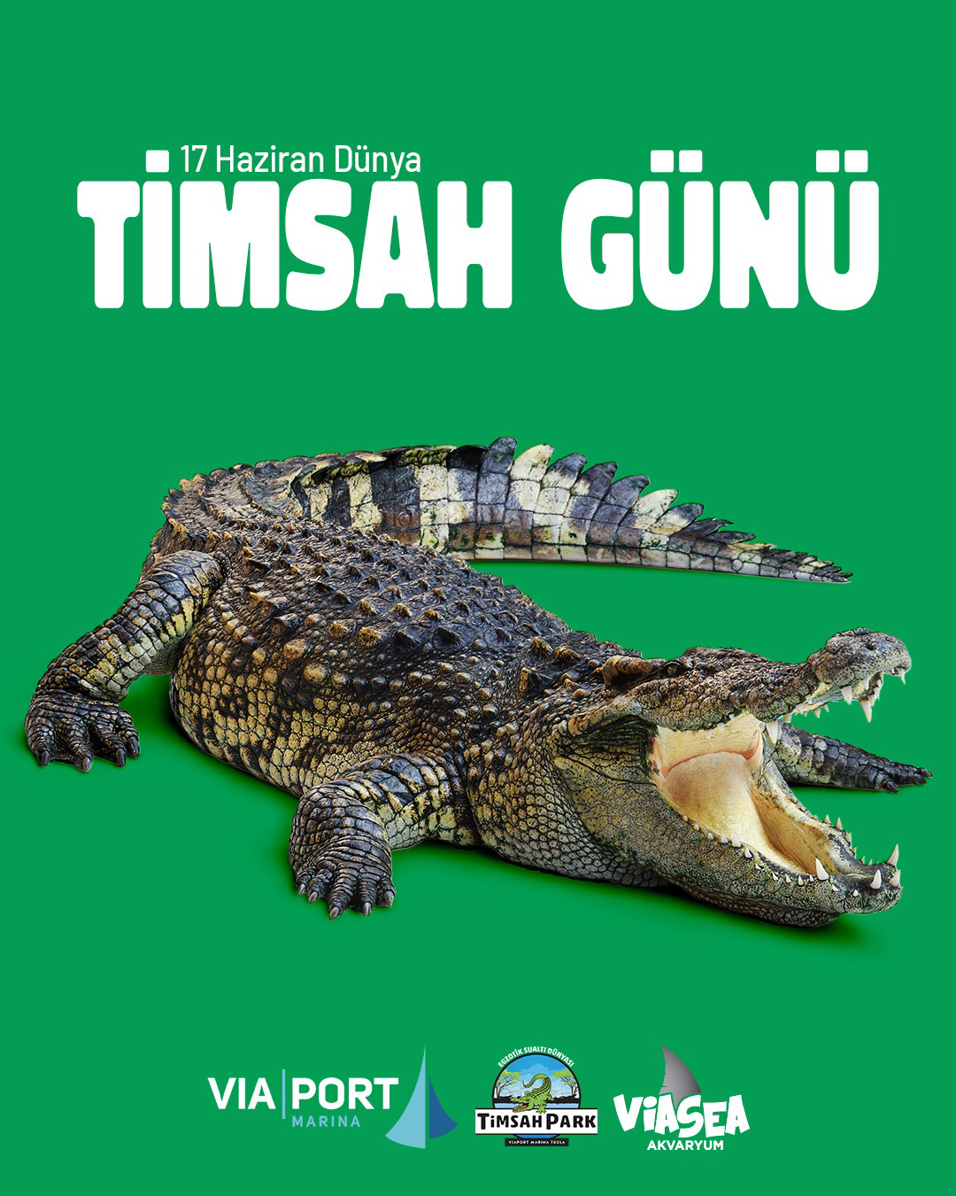 Dünya Timsah Günü: Milyonlarca Yıllık Bir Hayatta Kalma Hikâyesi